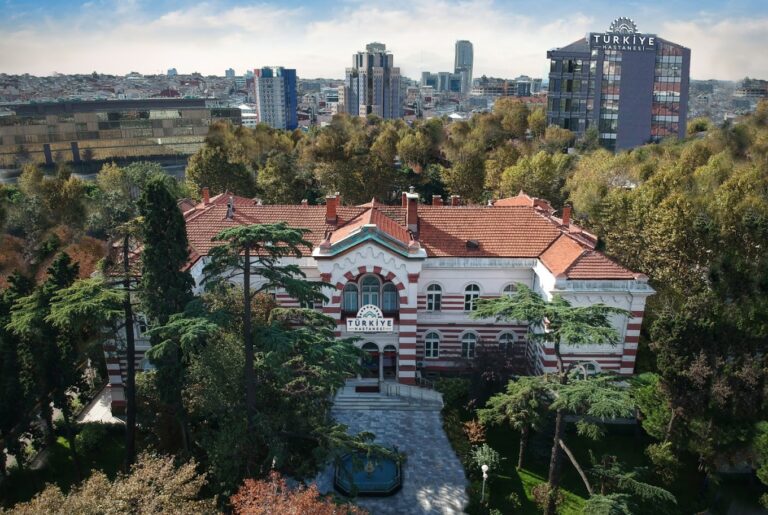 PRP Hair Treatment in Sisli